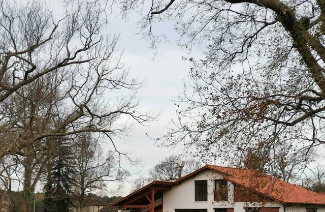 Recent Landes house between forest and ocean in the heart of nature but not isolated