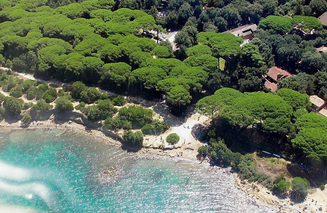 Red Stones by Interhome