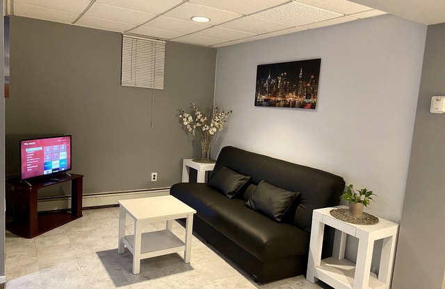 RedChillies🌶 Spacious one barroom apartment