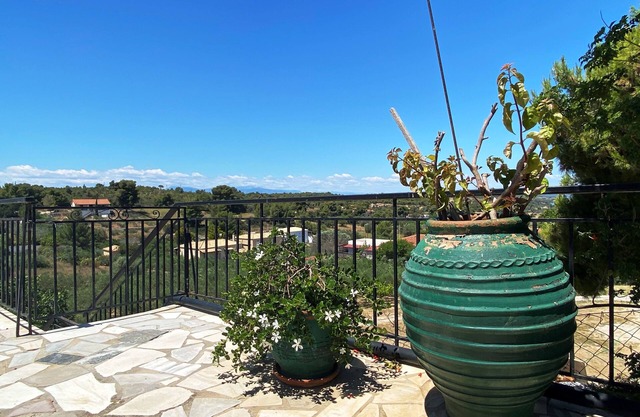 Relaxing Summer House