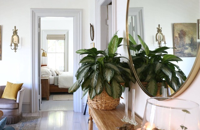 Remodeled1800s Victorian in heart of Ithaca- Close to parks and downtown