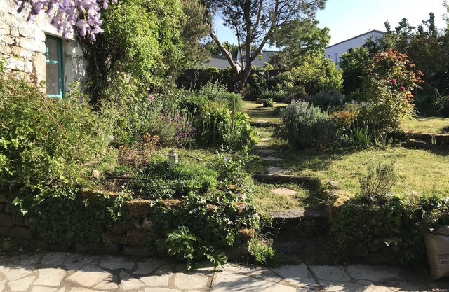 Renovated house with character preserved