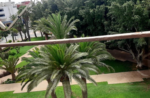 Rental Apartment in the city center (10 min from the beach on foot)