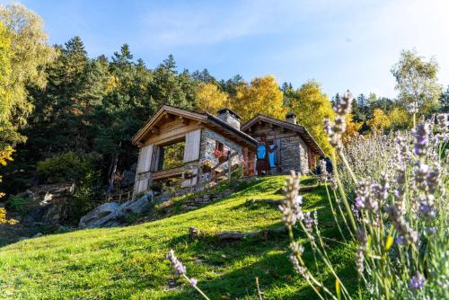 Res Albert - Chalet con Vista sulle Montagne