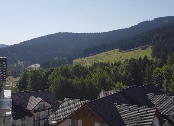 Resort Czarna Góra Apartament