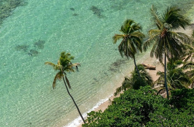 Resort Villas 2BR Apt | Pool & Beach Access