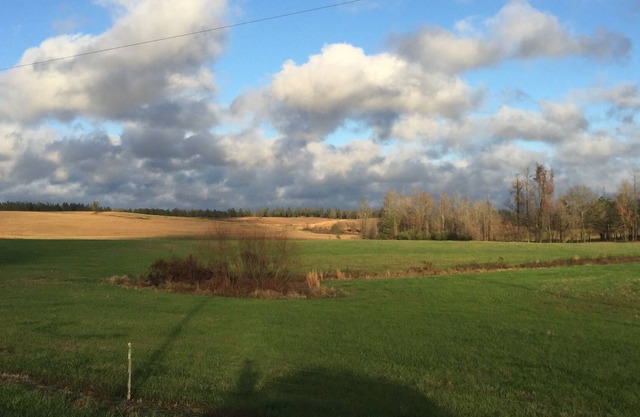 RETREAT 15 mins to Arch-$50 Uber card- w pool & hot tub
