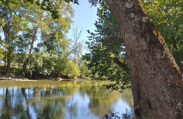 River Cottage on the Banks of the Mohican River, Couples Retreat, Hike, Firepit