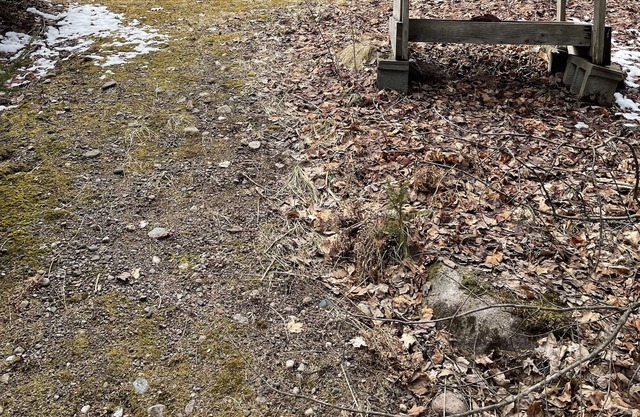 Riverfront Cottage on ATV and Snowmobile trail, pet friendly.