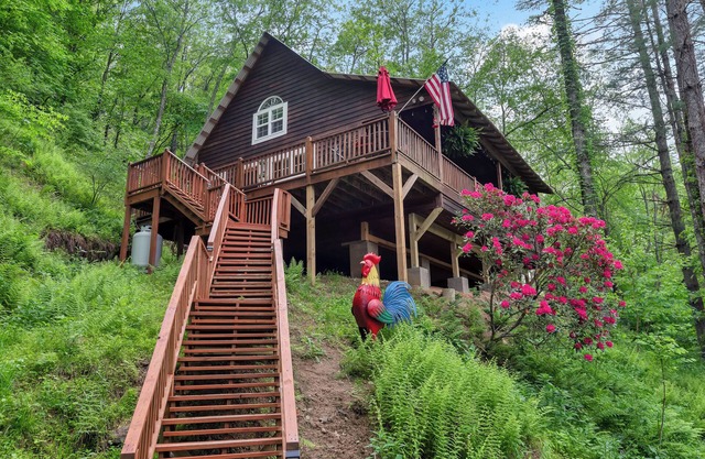 Riverfront log cabin in Crumpler- On the New River
