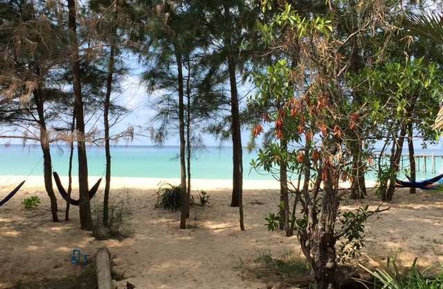 Robinson Bungalows