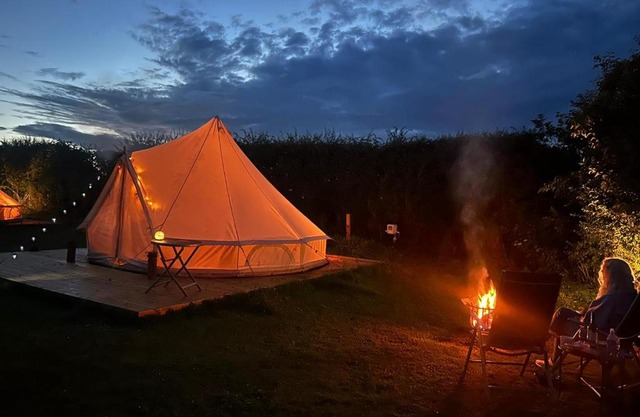 Roe Deer Meadow at Carr House Farm