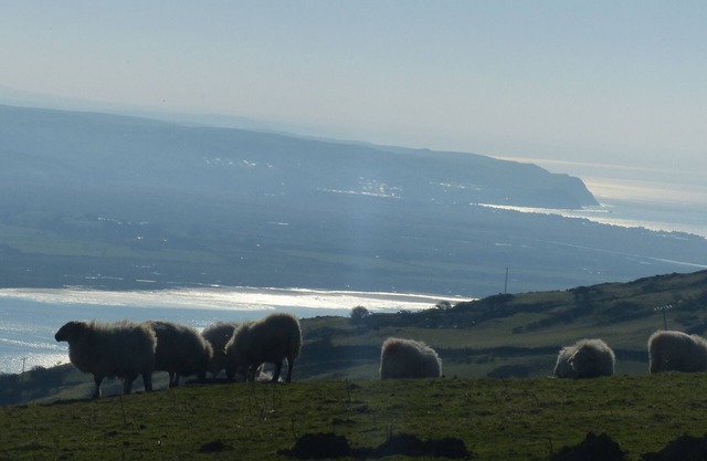 Romantic Coastal Retreat for 2 | New Hot Tub 2025