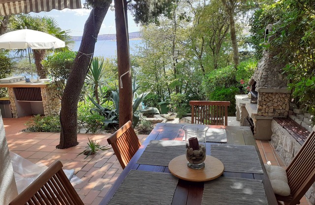 Romantic garden with trees and beautiful shaded areas, terraces, E