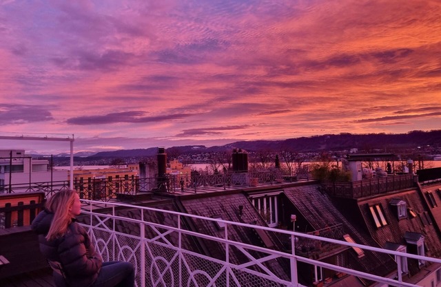 Rooftop with Alp and lake views