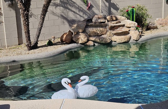 Room in beautiful home in south Cave Creek, near north Scottsdale, Mayo ... more