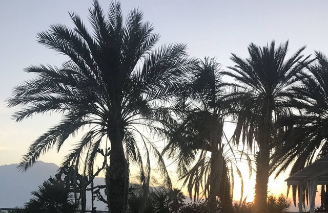 Room in Mid Century Modern Desert Home