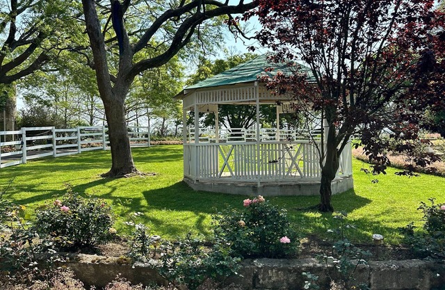 Rose Cottage, Elgin Grabouw