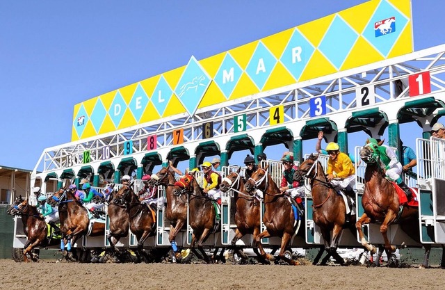 Run to Del Mar Racetrack for the Breeders Cup! Spacious full one-bedroom condo.