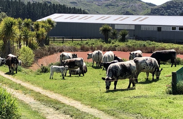 Rural retreat on a working farm.