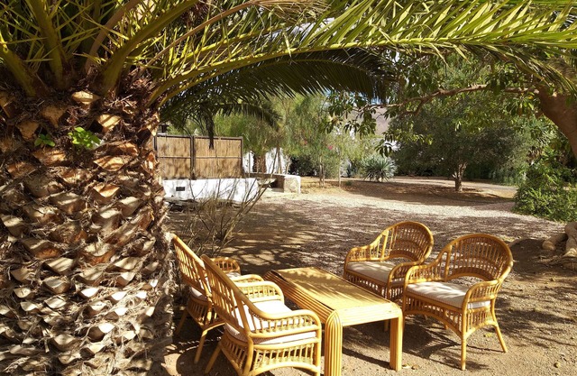 Rural Rugama # 11 Standard