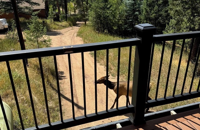 Rustic and charming 2 bedroom retreat with a beautiful deck