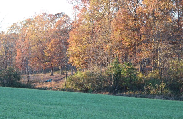 RV Resort in between Sparta and Crossville with Full Hook Up Sites