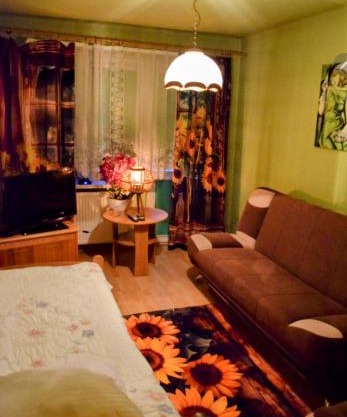 Salt Mine Apartment Bochnia by OTH