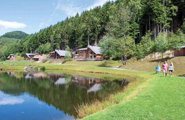 Saltspring Lodge Log Burner