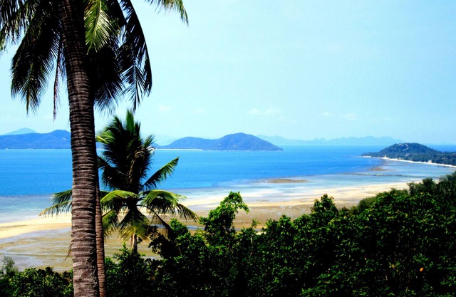 Samui Hideawa B & B "in the cool forest but minutes from the sea"