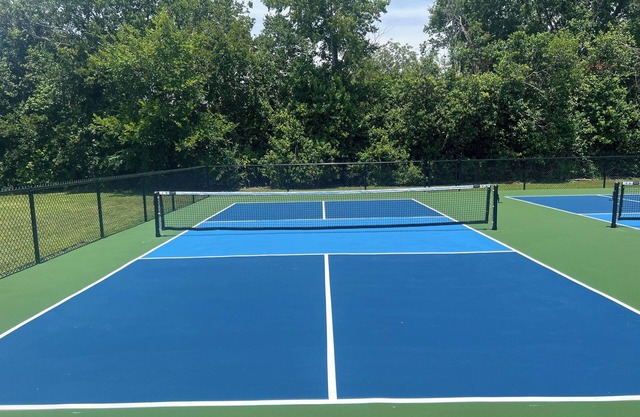 San Marcos River House I 2 Pickleball Courts I Sleeps 20+ l Hot Tub l 3 acres