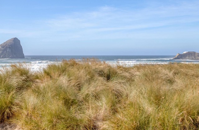 Sandcastle-pacific City