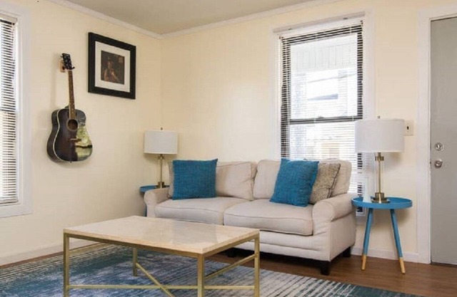 Sanitized Hip East Nashville Apartment