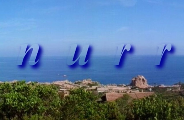 Sardinia-Costa Paradiso: villa 6 beds two bathrooms, sea area