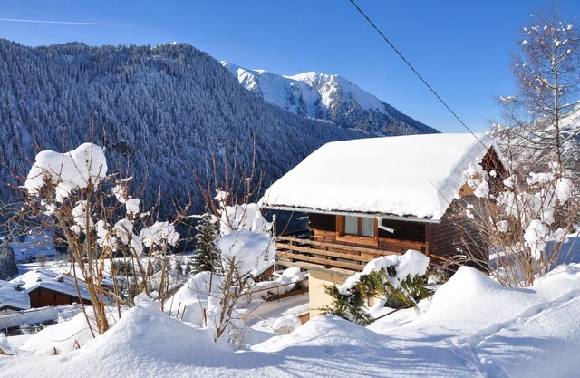 Savoyard chalet, 400 m away from the centre