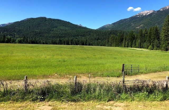 Sawtooth View