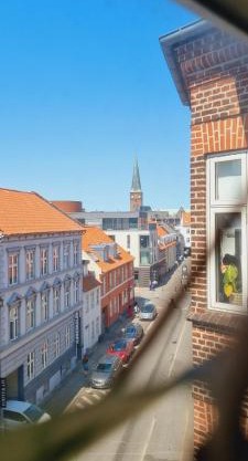 Scandinavian city apartment