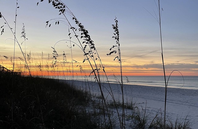 Searenity, south of 30A, ~150 ft from the beach