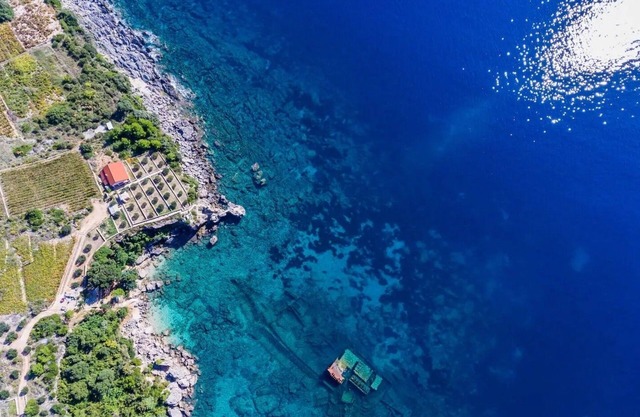 Seaside house for families with children Postup, Pelješac (K-20849)