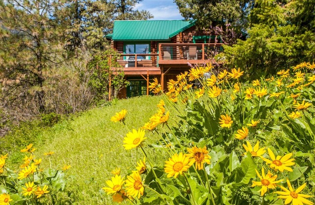 Secluded Custom Log Home with Intoxicating Views