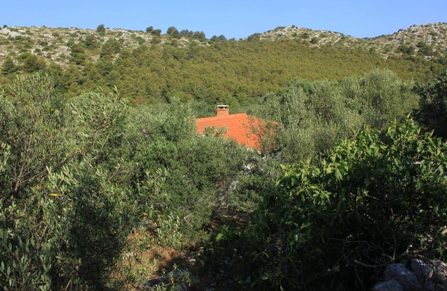Secluded fisherman's cottage Cove Magrovica - Telascica, Dugi otok - 8122