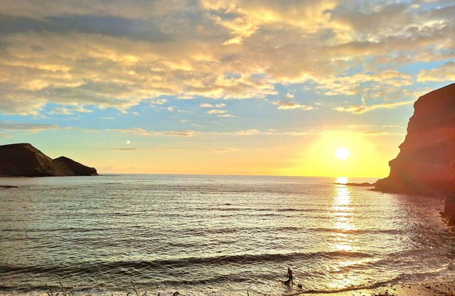 Self Catering Cottage, Crackington Haven, Bude, Cornwall, Peace awaits you.