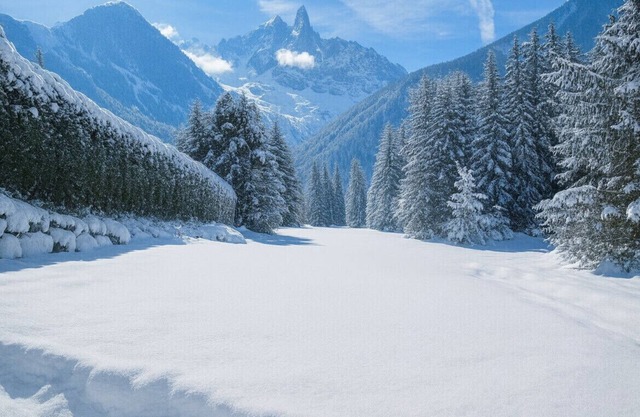 Semi Detached Chalet For 8 With Balcony & Garden