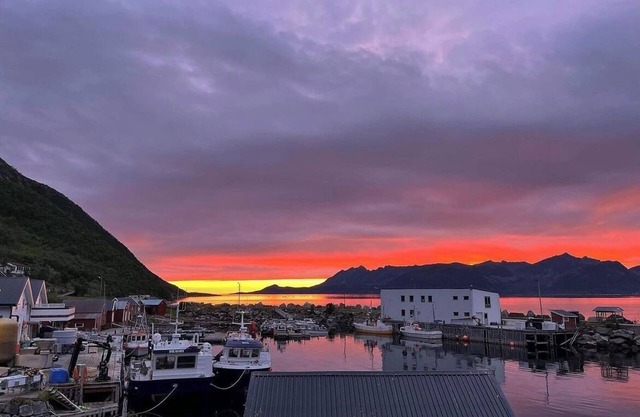 Senja Living
