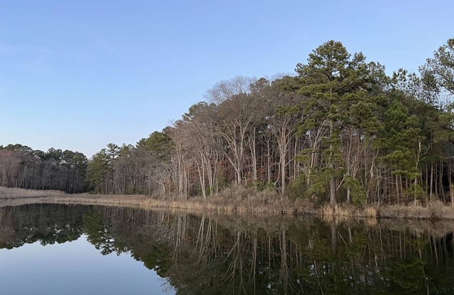 "Serenity"-St. Patrick's Creek w/private pier