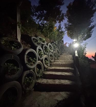 SESİLA DAĞ EVİ Bungalov