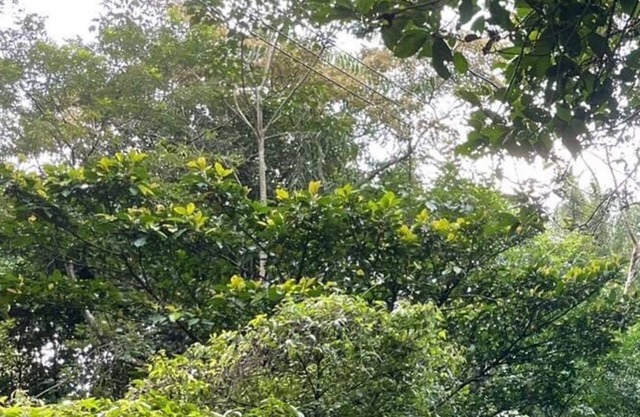 Shan Xing Ji Ye Homestay