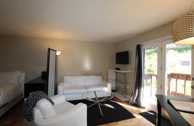 Skyland Lodge, Super cute studio, hot tub