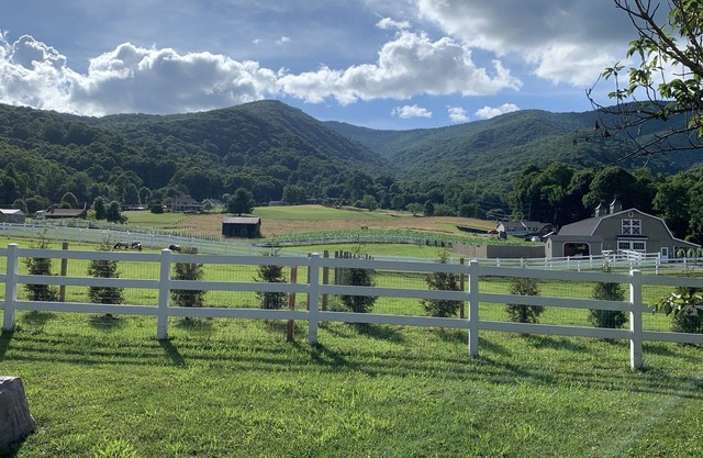 Sleeps 11 - Mountain Views! Enjoy watching Alpacas & Mini Horses from your deck