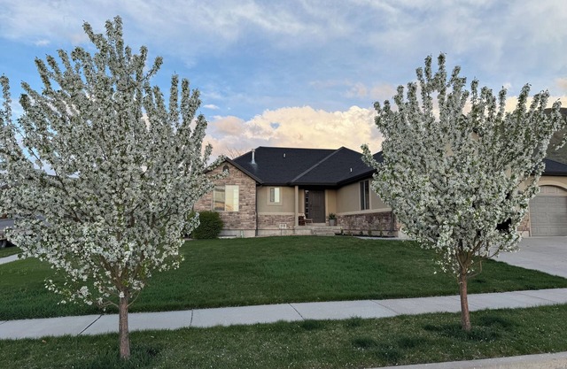 Sleeps 16- Moutain View